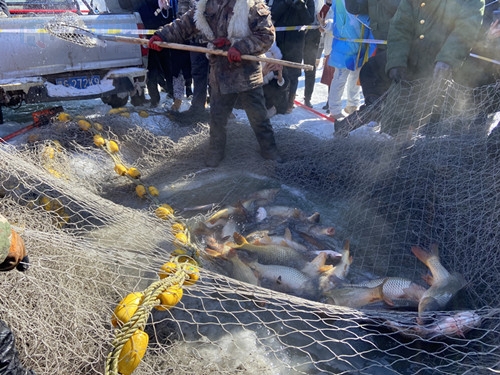 大魚出網.jpg
