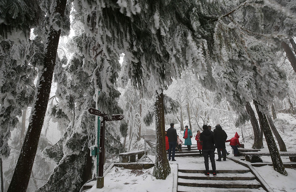 張家界迎降雪 景區銀裝素裹