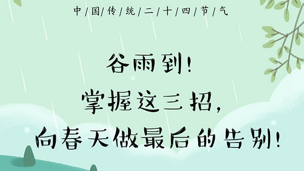 谷雨到！掌握這三招，向春天做最后的告別！