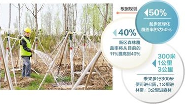 千年秀林，這樣茁壯成長