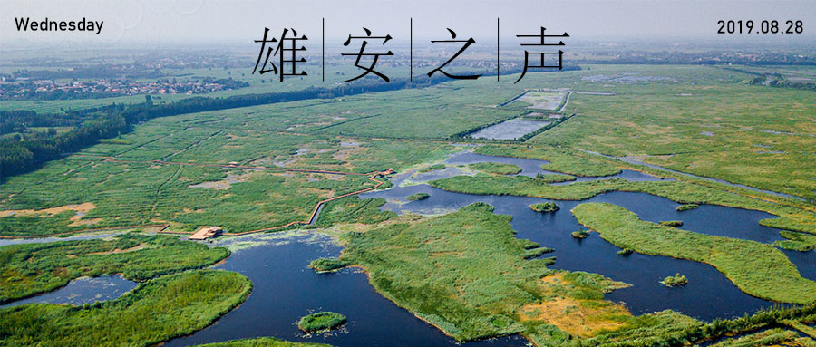 【雄安之聲】20190828