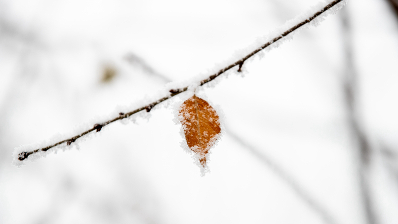 美呆了！雪后的雄安！