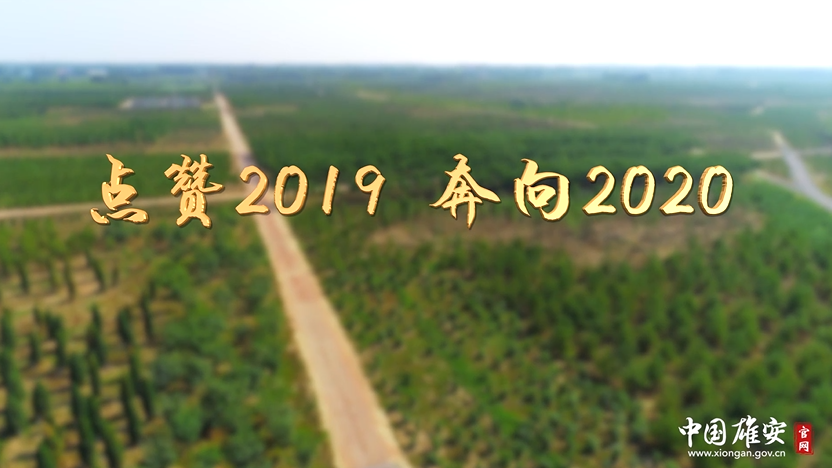 點(diǎn)贊2019！奔向2020！