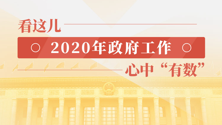 看這兒，2020年政府工作，心中“有數”