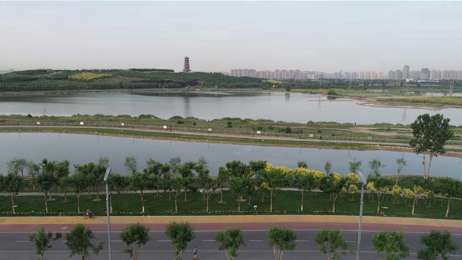 河北石家莊：滹沱河兩岸建成綠色生態景觀長廊