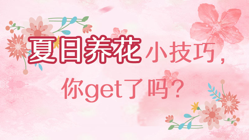 夏日養花小技巧，你get了嗎？