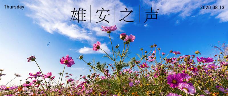 【雄安之聲】20200813