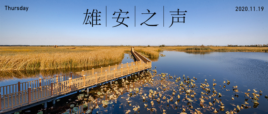 【雄安之聲】20201119