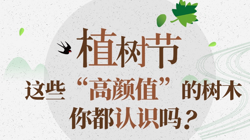植樹節丨這些“高顏值”的樹木，你都認識嗎？