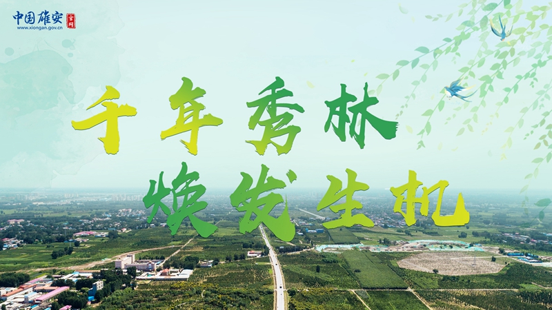 植樹節丨“千年秀林”煥發生機！