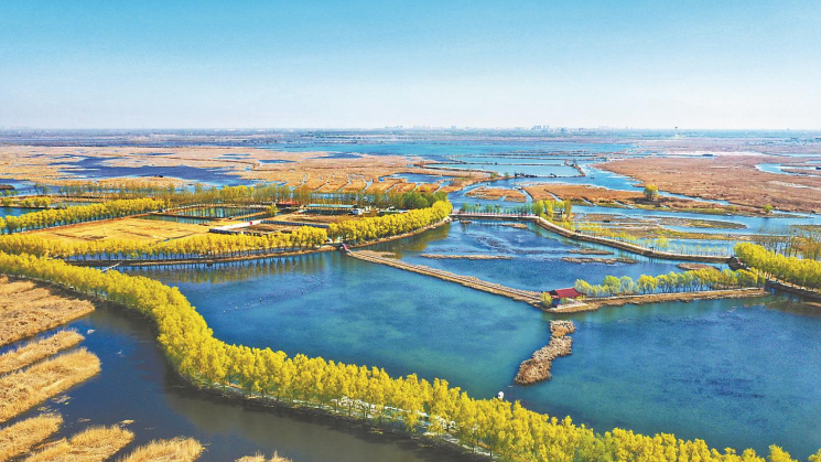為生態雄安筑牢法治之基——《白洋淀生態環境治理和保護條例》解讀