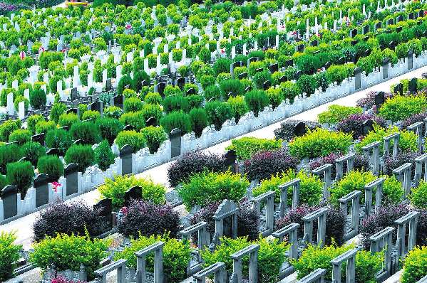 首部京津冀區域協同標準《骨灰節地生態安葬規范》4月1日起實施