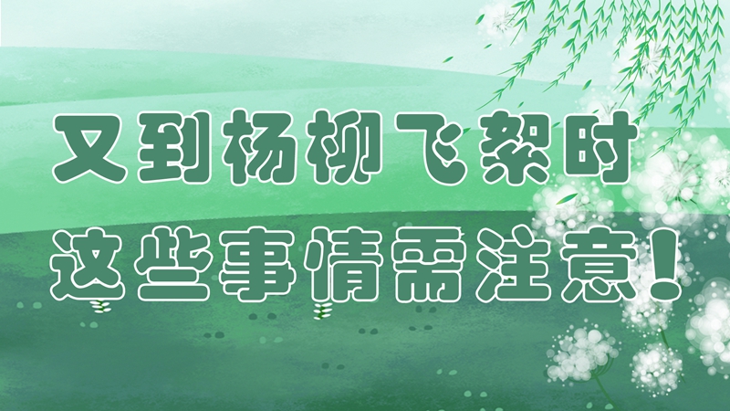 又到楊柳飛絮時(shí)，這些事情需注意！
