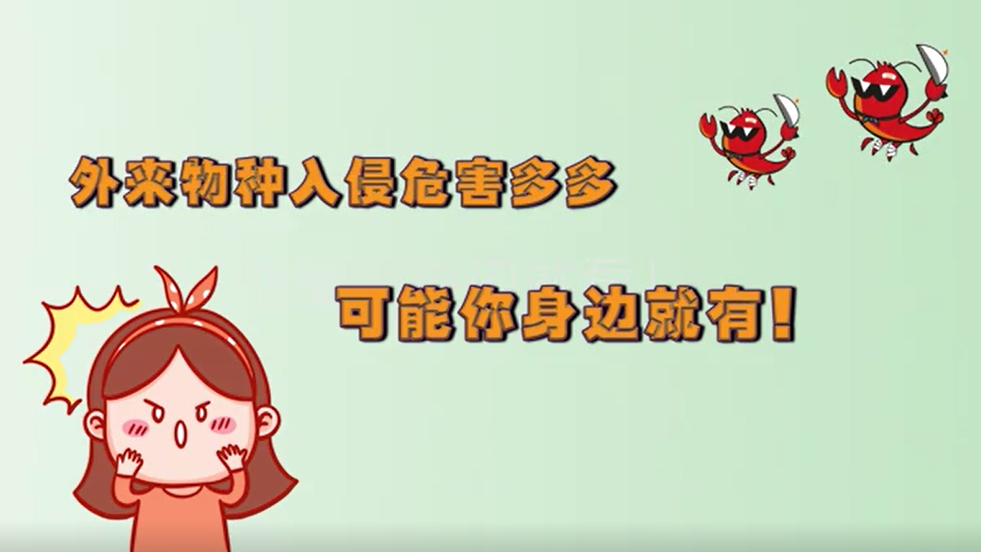 外來物種入侵危害多多 可能你身邊就有！