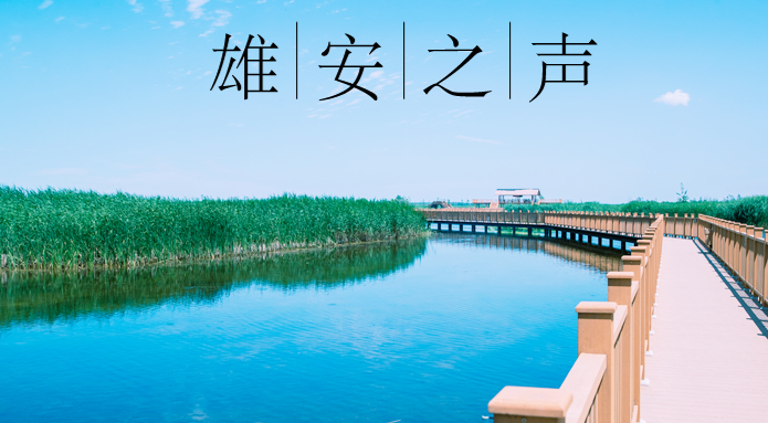 【雄安之聲】20210705