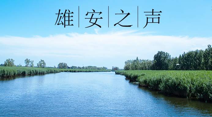 【雄安之聲】20210706