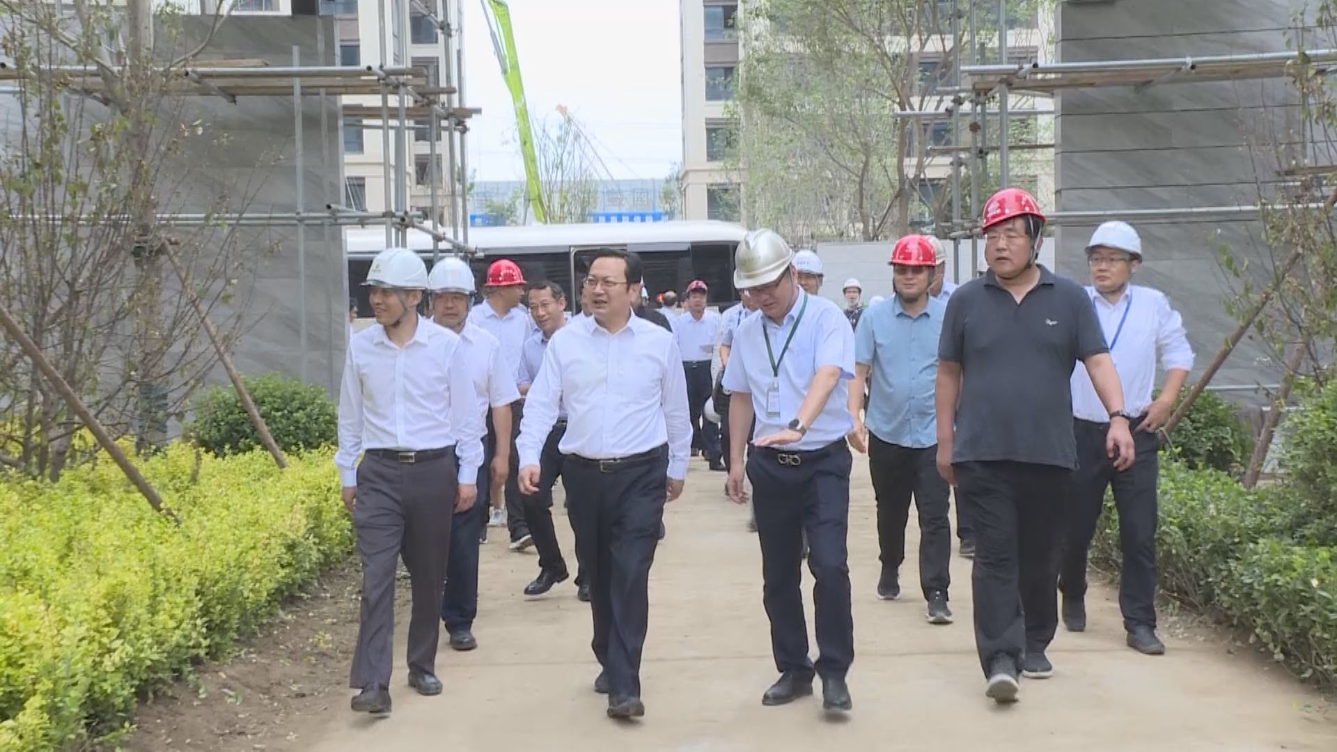 時政播報丨張國華到容東片區調研重點項目建設情況