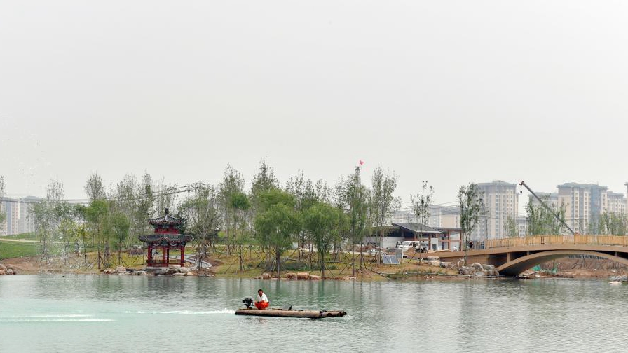 探訪雄安金湖公園項目建設現場