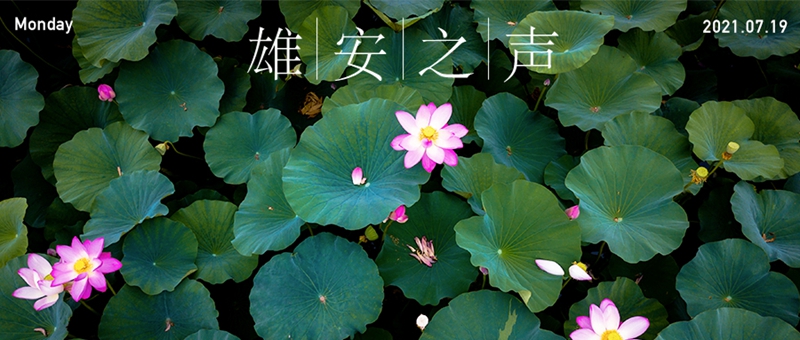 【雄安之聲】20210719