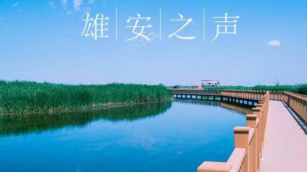 【雄安之聲】20210720