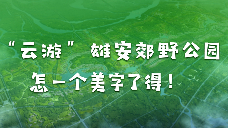 H5丨“云游”雄安郊野公園，怎一個美字了得！