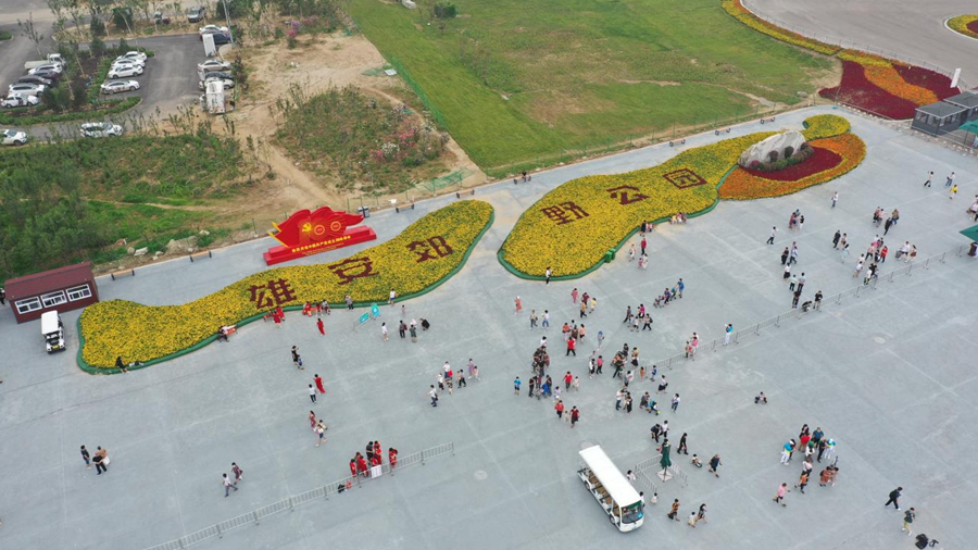 現(xiàn)場直擊丨三季有花、四季有綠！一起打卡雄安郊野公園！
