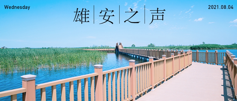 【雄安之聲】20210804