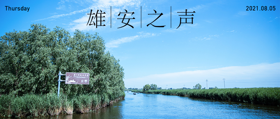 【雄安之聲】20210805