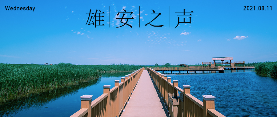 【雄安之聲】20210811