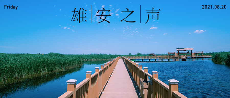 【雄安之聲】20210820