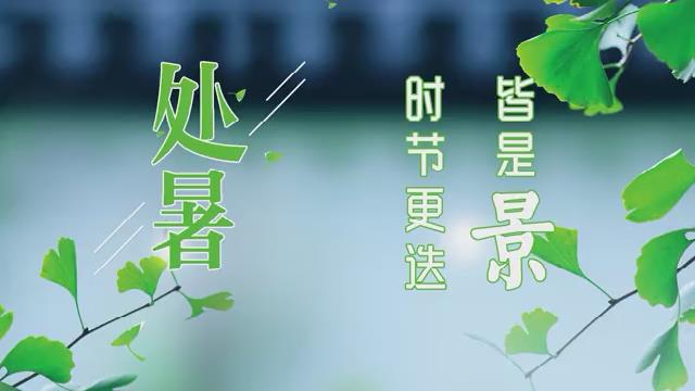 處暑丨時節(jié)更迭皆是景