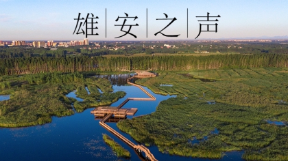 【雄安之聲】20210826