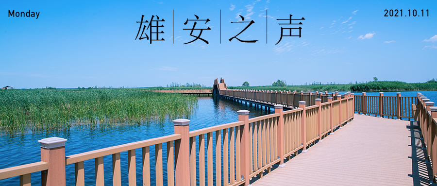 【雄安之聲】20211011