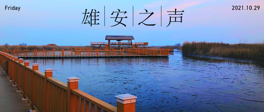 【雄安之聲】20211029