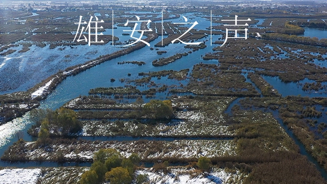 【雄安之聲】20211124