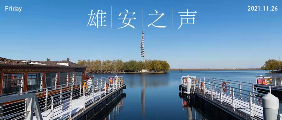 【雄安之聲】20211126
