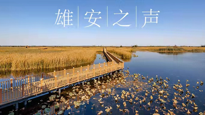 【雄安之聲】20211130