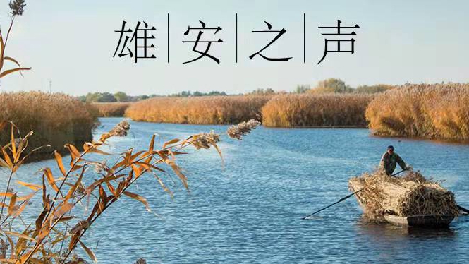 【雄安之聲】20211208