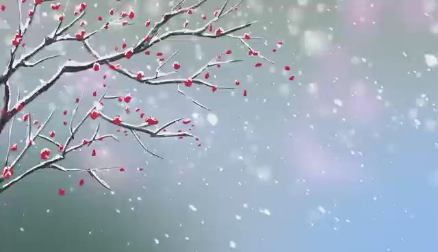 冬至丨厚積生命之力 靜待春暖花開