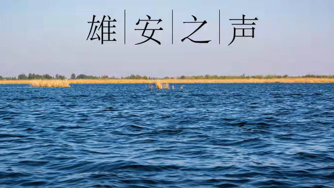 【雄安之聲】20211228