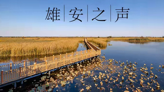 【雄安之聲】20211231