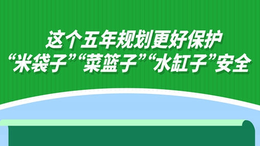這個五年規劃更好保護“米袋子”“菜籃子”“水缸子”安全