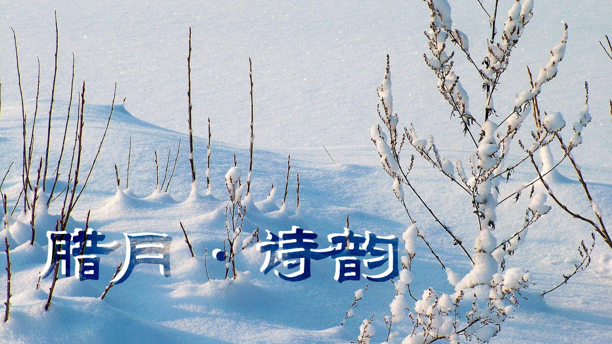 將詩意寫進臘月，悄然珍藏