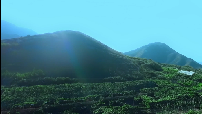 環(huán)保低碳宣傳