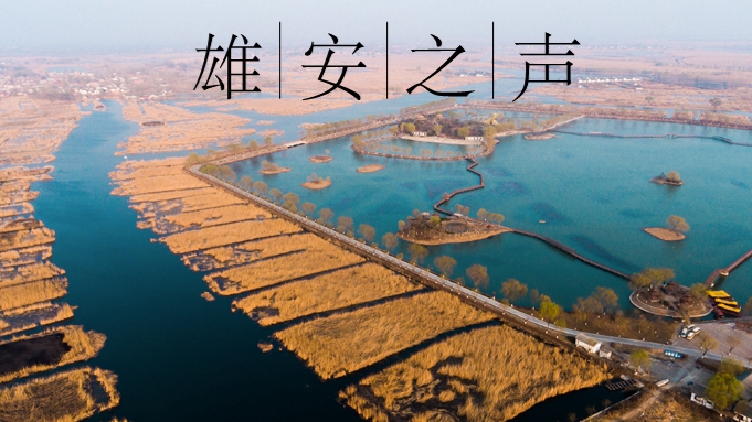 【雄安之聲】20220107
