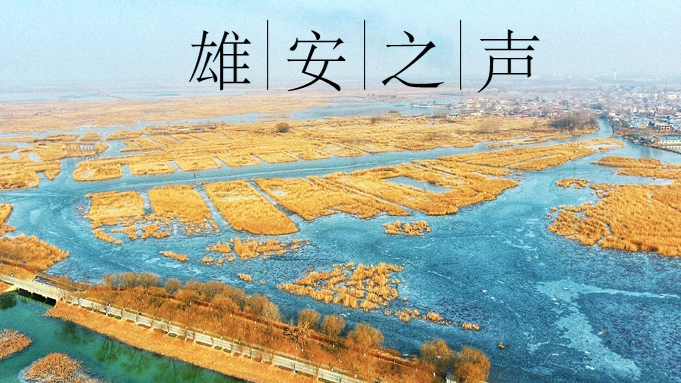 【雄安之聲】20220110