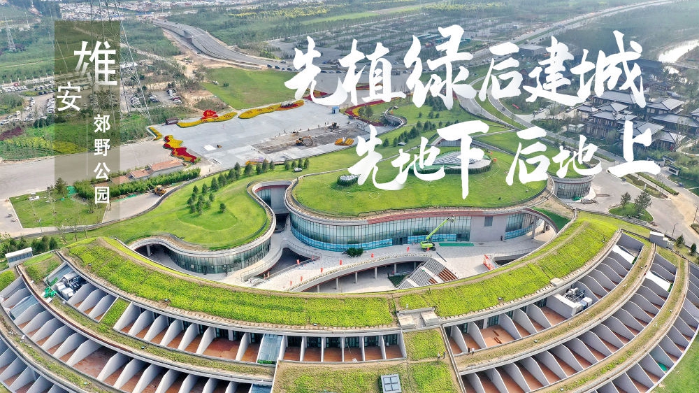 新路通向未來——2022年雄安新區開年觀察