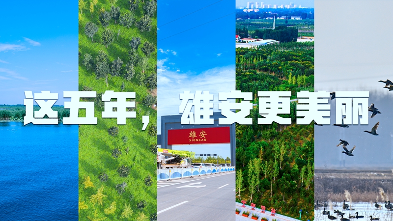 五年·見證雄安丨這五年，雄安更美麗！