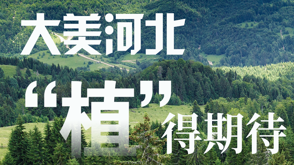 海報派丨大美河北 “植”得期待