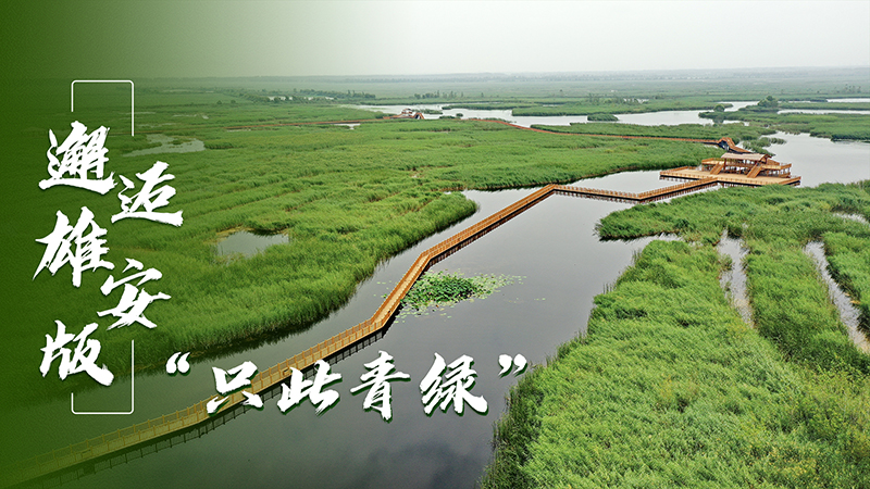 雄安“星”視角丨邂逅雄安版“只此青綠”